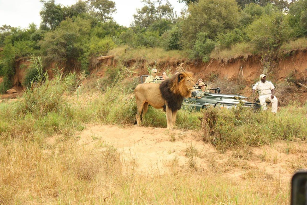 Karongwe Portfolio- Shiduli Private Game Lodge Karongwe Game Reserve Exteriér fotografie