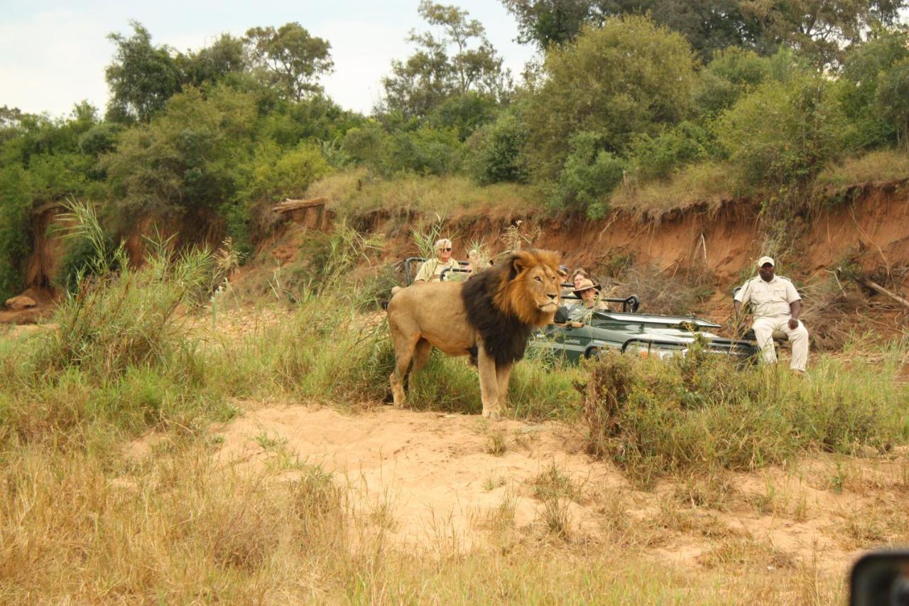 Karongwe Portfolio- Shiduli Private Game Lodge Karongwe Game Reserve Exteriér fotografie