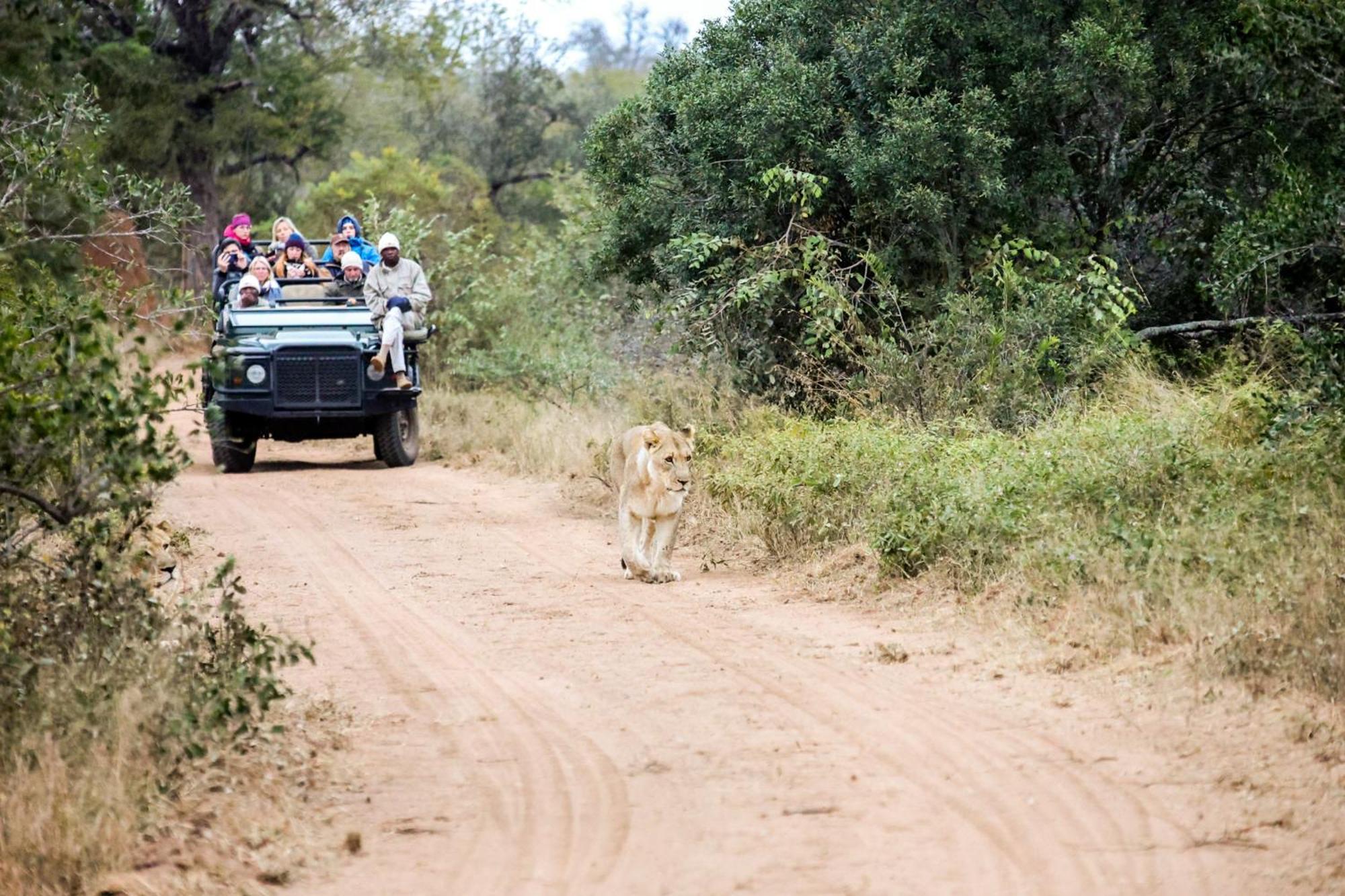 Karongwe Portfolio- Shiduli Private Game Lodge Karongwe Game Reserve Exteriér fotografie